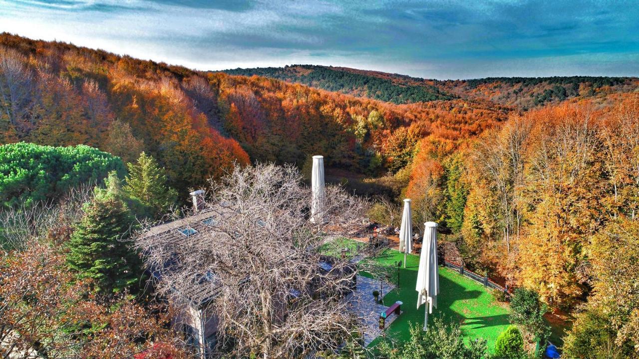 Villa Polonez اسطنبول المظهر الخارجي الصورة